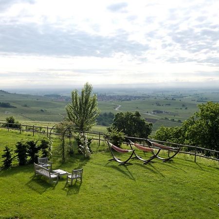 Le Clos Saint-Vincent Ribeauvillé Kültér fotó
