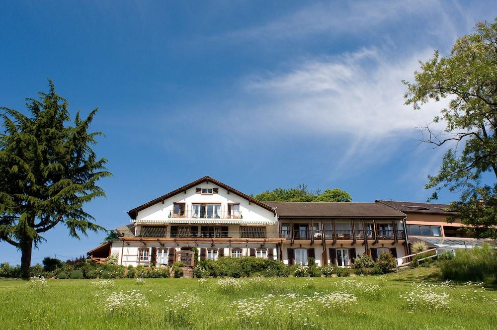 Le Clos Saint-Vincent Ribeauvillé Kültér fotó
