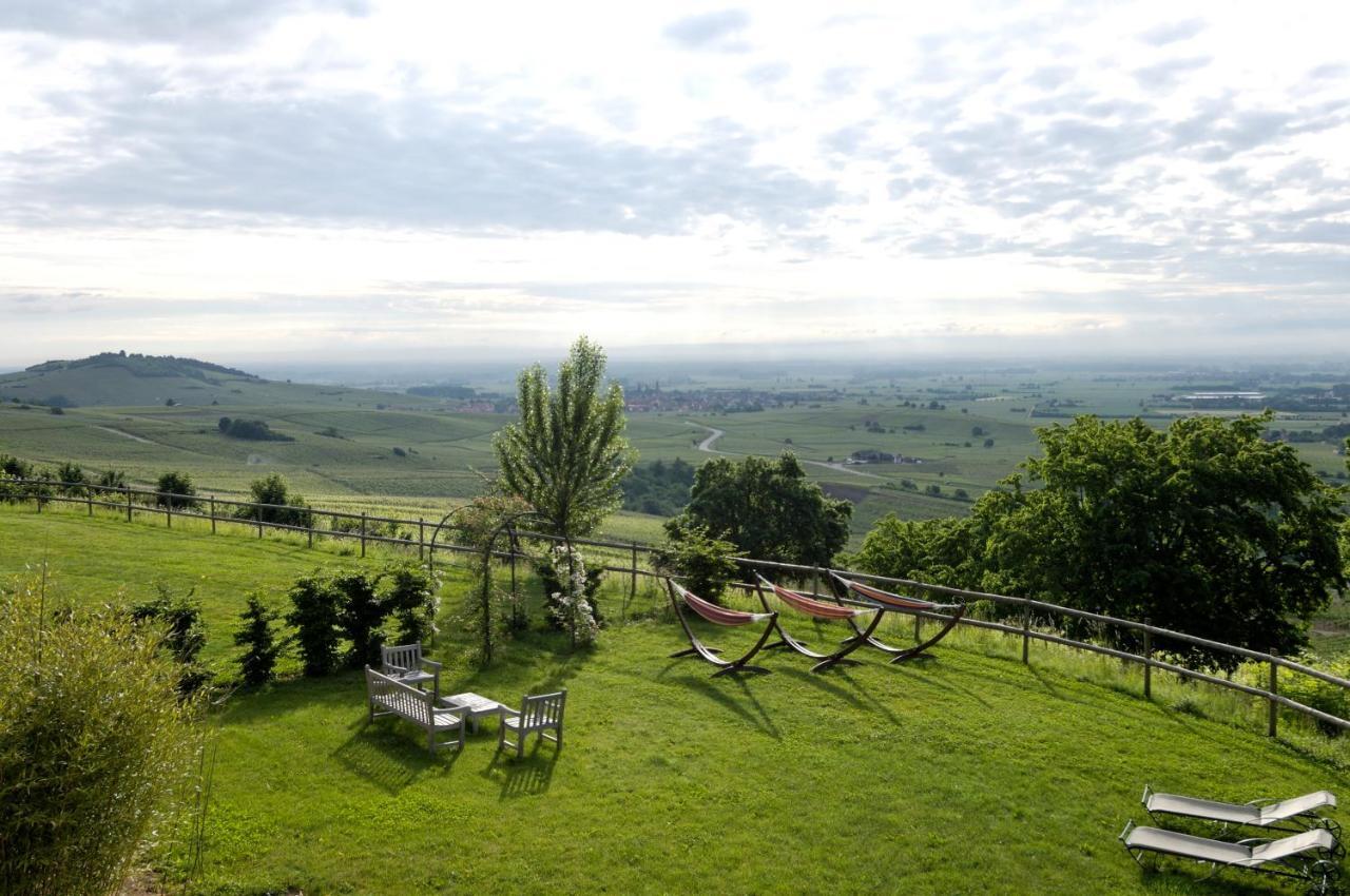 Le Clos Saint-Vincent Ribeauvillé Kültér fotó