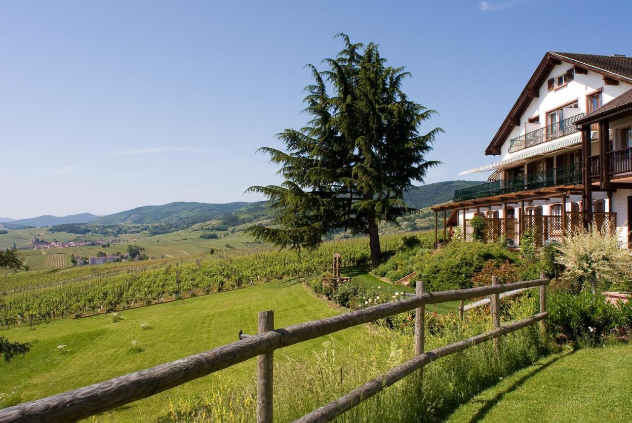 Le Clos Saint-Vincent Ribeauvillé Kültér fotó